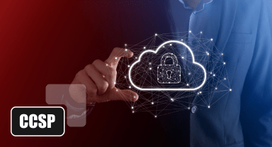 CCSP (Certified Cloud Security Professional) Certification Training